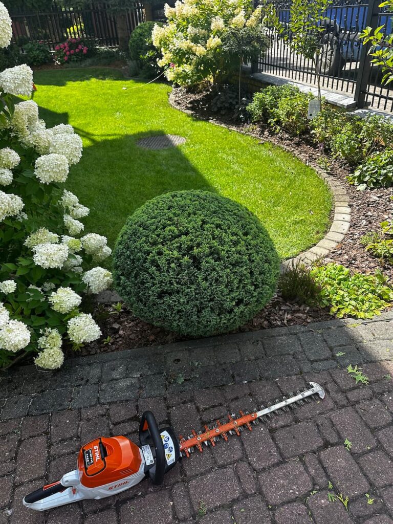 Ogrodnik Białystok - efekt pracy strzyżenia żywopłotu